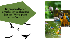 Write a paper for me about rare birds species to take par in ornithology conference